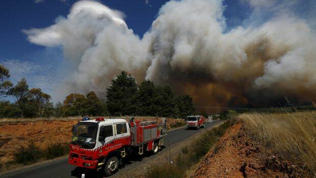 Firefighters respond to a fire at Carwoola, southeast of Canberra on Friday.  Photo: Alex Ellinghausen
