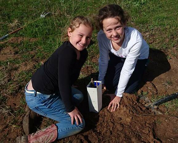 Students Ella Cross and Jorja O'Brien help plant more than 200 trees on a local property. The students from St Joseph's learnt all about agriculture and the environment in the region. 