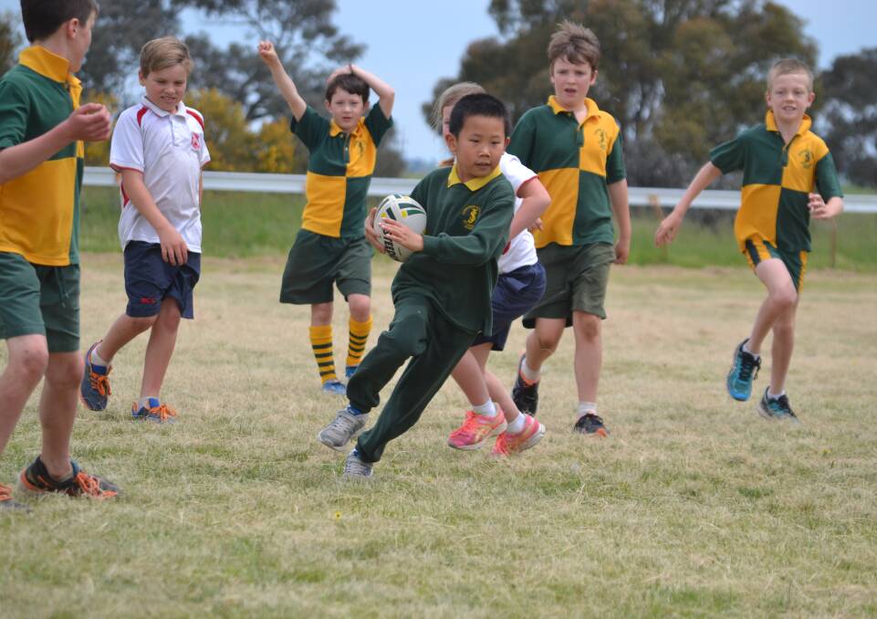 St Joseph's Primary School student Lachlan Li breaks through the Boorowa Central School defence and was one of the quickest metre makers on the day.  