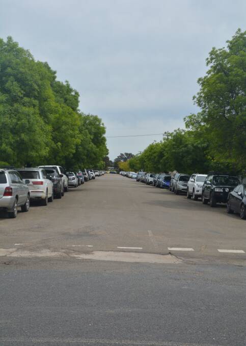 Has South Street ever seen cars parked as far as the eye can see? It did for the Carnival last Friday and it wasn't alone as hundreds of cars lined the streets. 