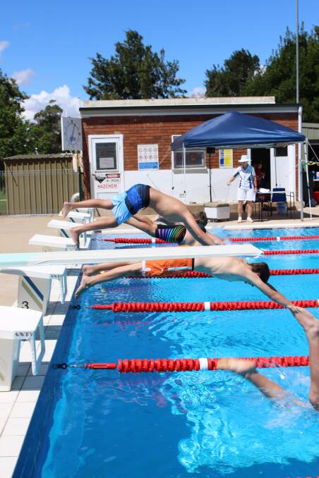 St Joseph's School students dive at their swimming carnival earlier this year. The pool opens this Saturday. 