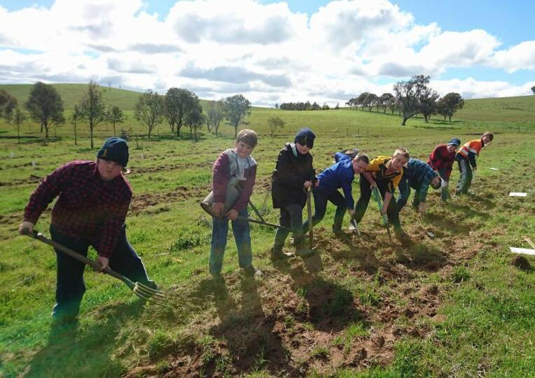 Students from St Joseph's School Boorowa plough a paddock in preparation of planting trees. The students planted around 250 trees on the property. 