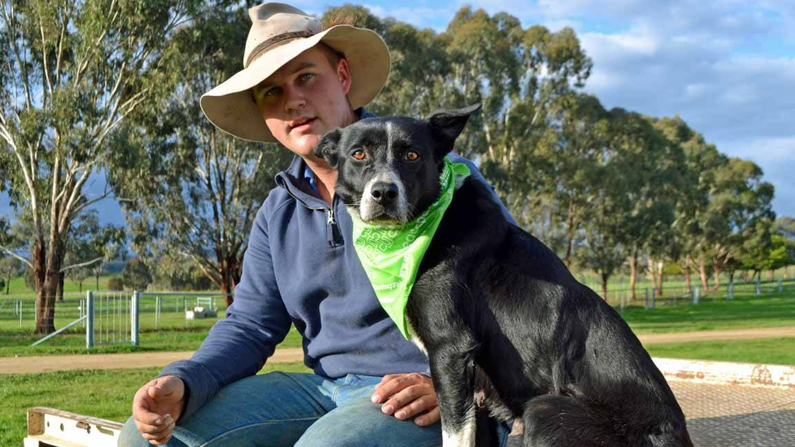 Nick Hovey and "Ida" will be taking part in the cattle dog trials at Wattamondara on July 18.