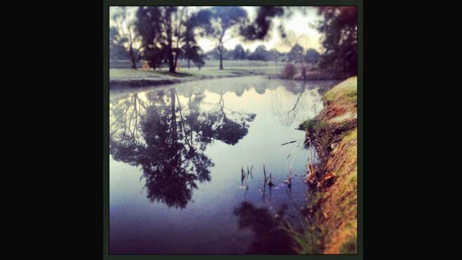This beautiful photograph, 'Early morning- Boorowa riverwalk' was captured by Sally Barton.
