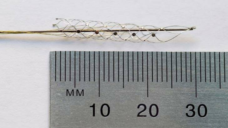 The stent, which will play a key role in the bionic spine, is the size of a paperclip.  Photo: Melbourne University