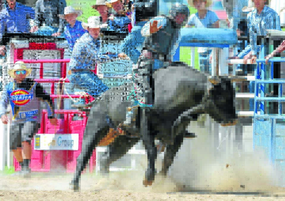 PICTURED: Troy Cross at the Bungendore Rodeo. Photo: RS Williams.