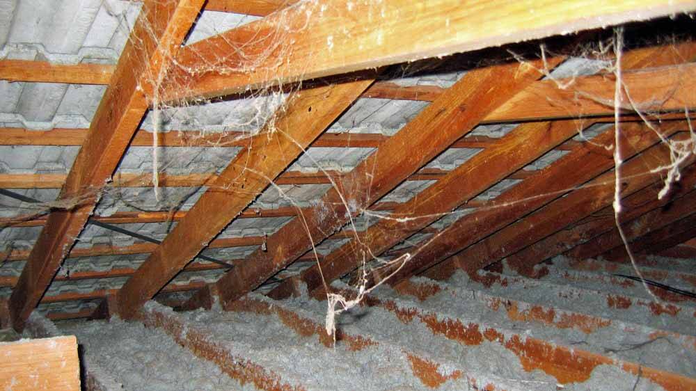 The Boorowa Local Government Area (LGA) was recently added to a list of eligible LGA's where home owners concerned they may have loose fill asbestos can have a free testing program undertaken by Workcover NSW. FILE PHOTO. 