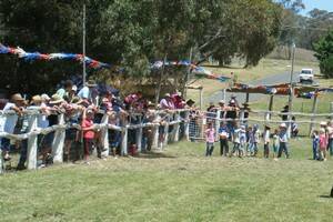 Kids line up for the chook race at the Reids Flat Recreation Ground last Saturday.