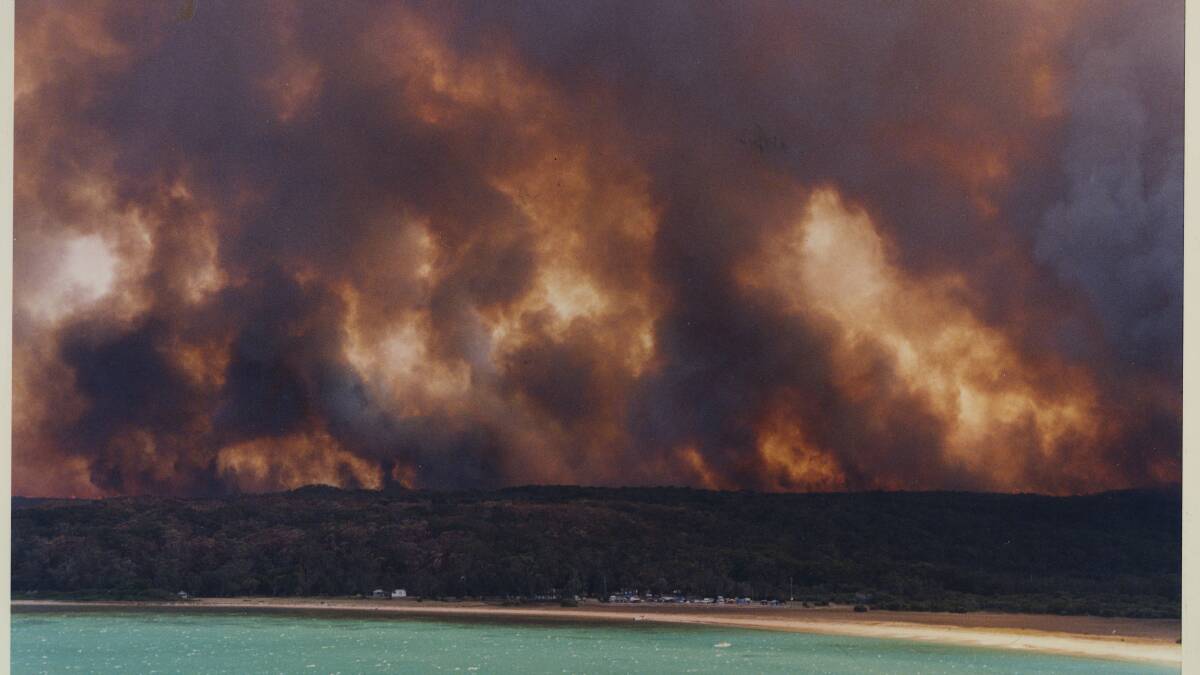 The Royal National Park ablaze during the 1994 bushfires. Photo: FAIRFAX ARCHIVES