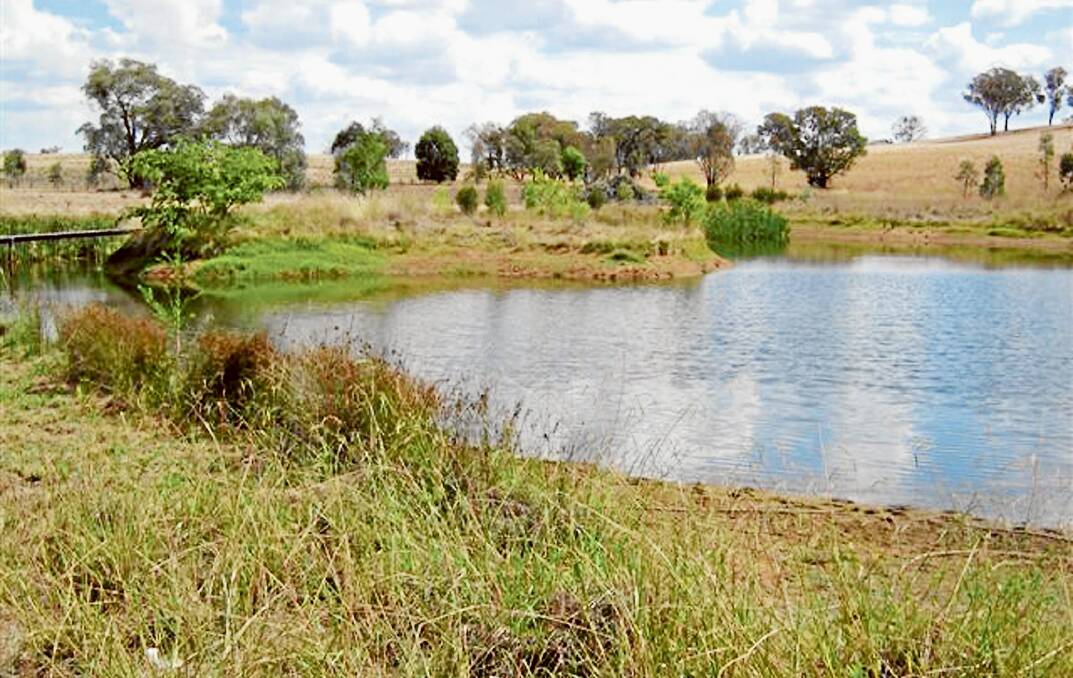 Forest Home Dam, where a workshop will take place. 