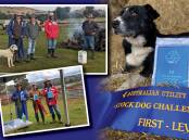 (Main) Crawfords Butch run by David Crawford, Numby, Reids Flat, won the level 2 (higher level), and (insets top to bottom) participants in the stock dog challenge and placegetters of the level 1 class. Photos: Supplied