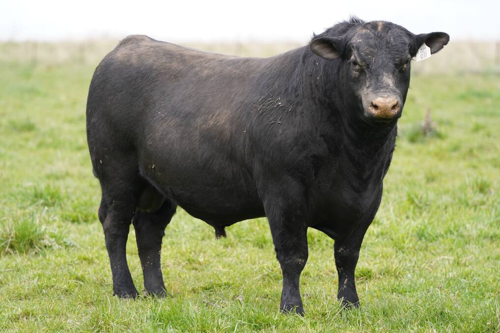 The $23,000 top-priced bull purchased online by an undisclosed buyer as part of a draft of six bulls. 