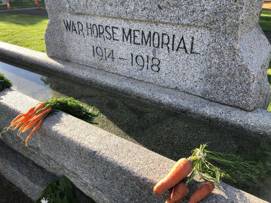 Carrots left for the horses that served at the grey granite War Horse Memorial horse trough in Adelaide.