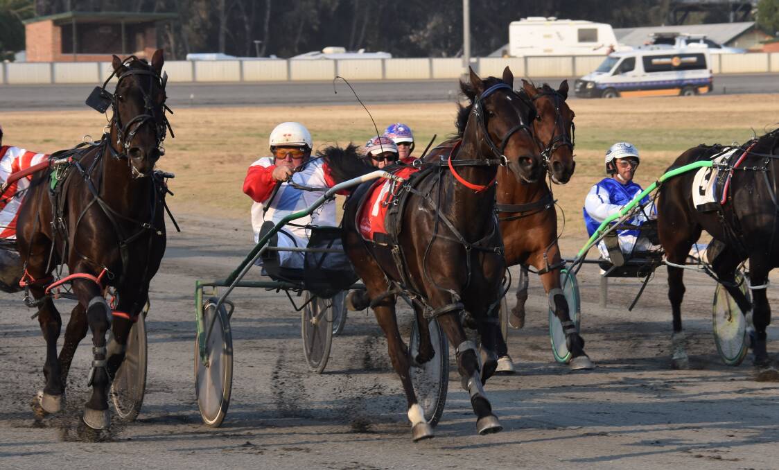 
Young trainer-driver John Vautin drives Bold Western to victory at Young Paceway on Tuesday night. Photo: Peter Guthrie