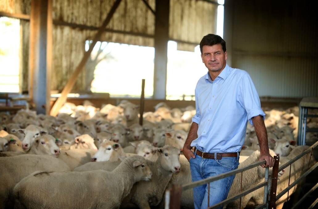 Sitting Liberal MP Angus Taylor says he'll be fighting for farmers, small business and families in the campaign ahead. Photo supplied.