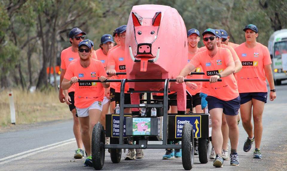 A team of walkers with Percy the Pig during last year's Pig Push. Percy leaves for Boorowa from Orange on April 8.