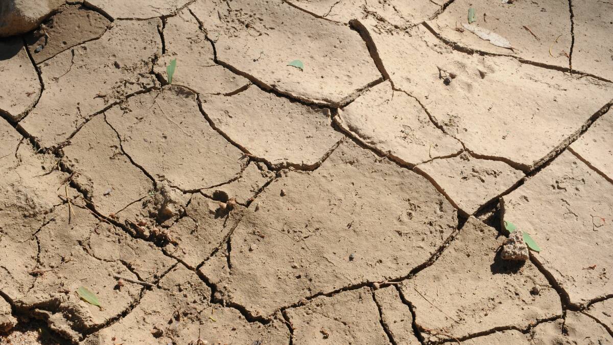 Boorowa churches come together to support St Vincent De Paul drought appeal