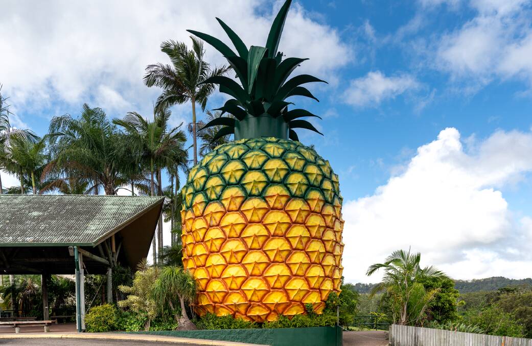 The Big Pineapple turns 50 this year but the site is currently closed for redevelopment.
