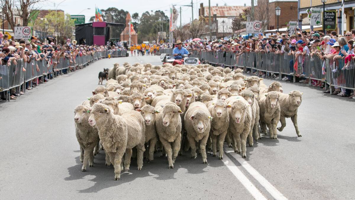 A Chinese visitor has shared their thoughts about Boorowa's Irish Woolfest and the friendliness of locals. 