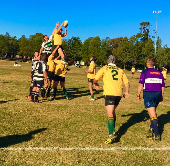 Despite fielding a depleted side, the Goldies were able to topple the Yass Rams 24-10 in Yass last Saturday. 
