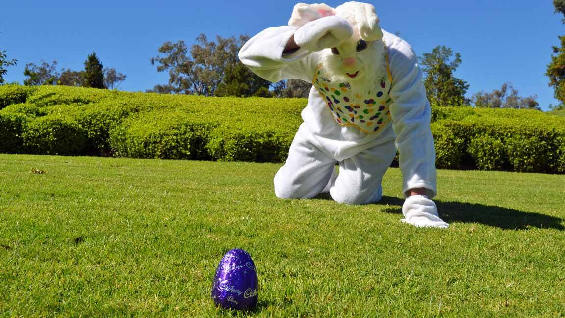 Just like this Easter Bunny, Boorowa kids will have the opportunity to find Easter eggs on April 11 from 10.30am to noon at Boorowa Recreational Playground. 
