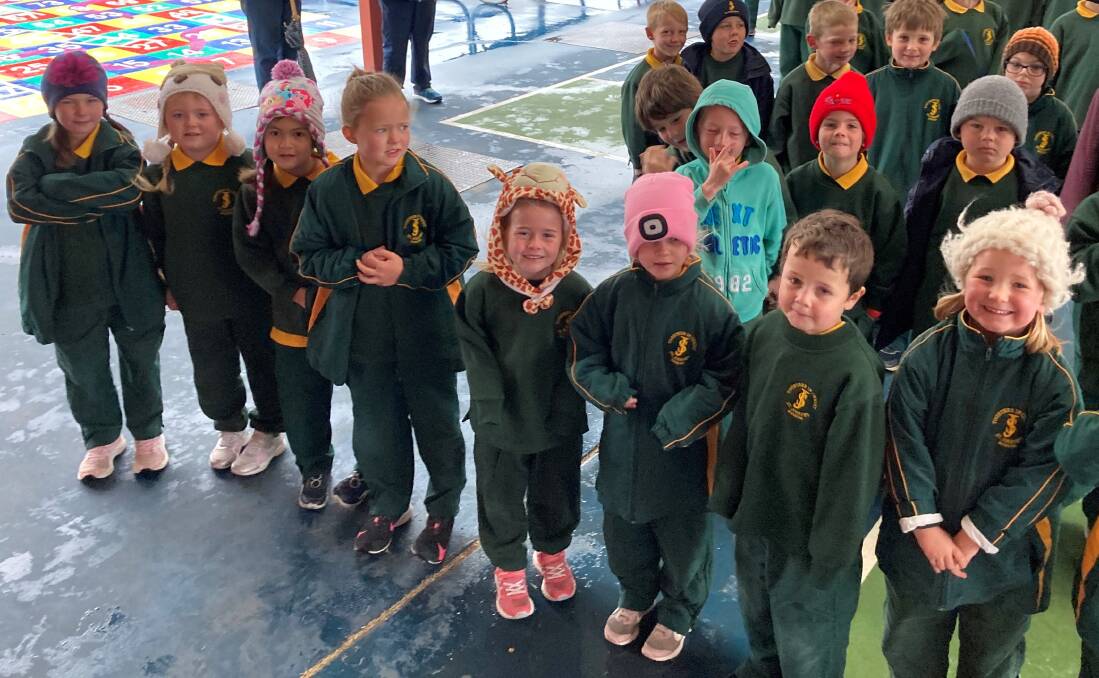 Kinder/Year 1 students wearing Bbanies as a fundraiser to support Mary MacKillops Feast Day and raise funds for mobile Kindergarten groups in Fiji.