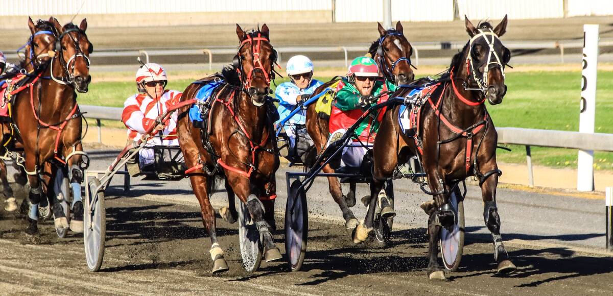 HI THERE: Gabbys Sportstar (right, red and green silks), pictured here winning in Parkes on August 30, will start from the back row in the West Wyalong Cup this Sunday. Photo: Coffee Photography.