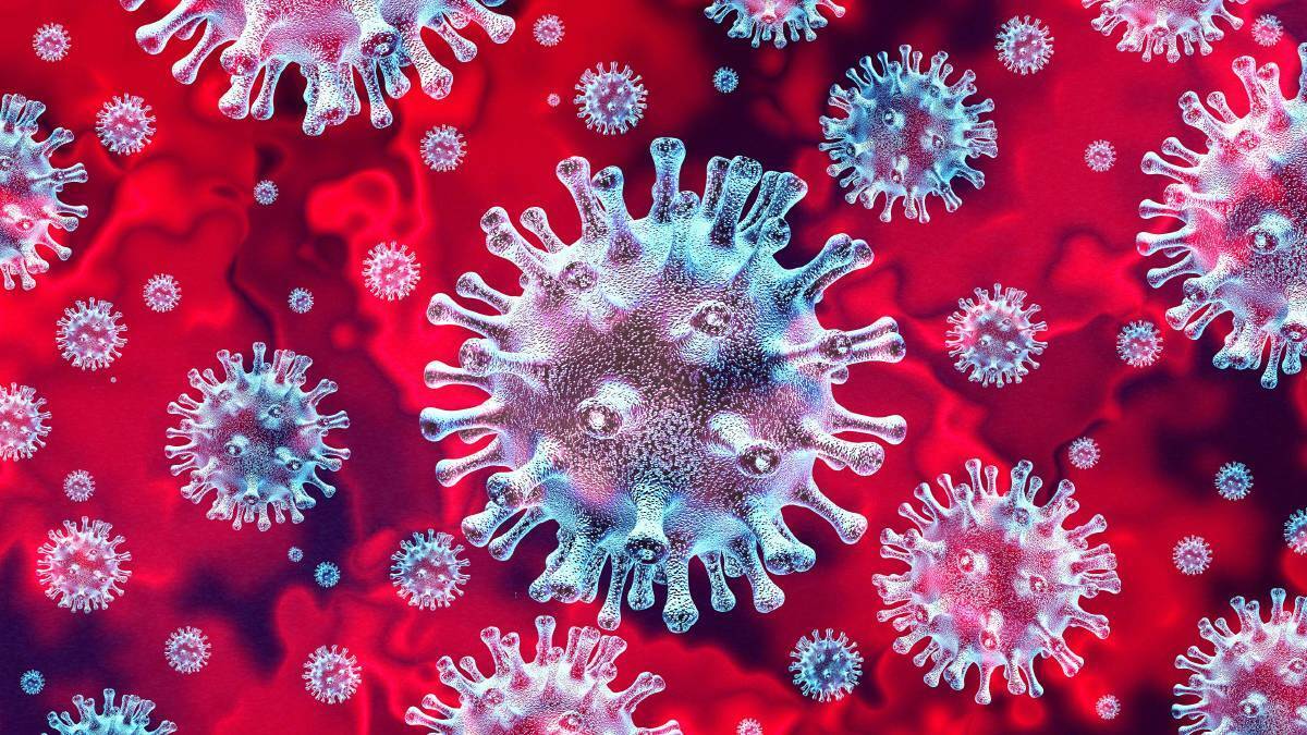 Murrumbidgee continues coronavirus-free streak