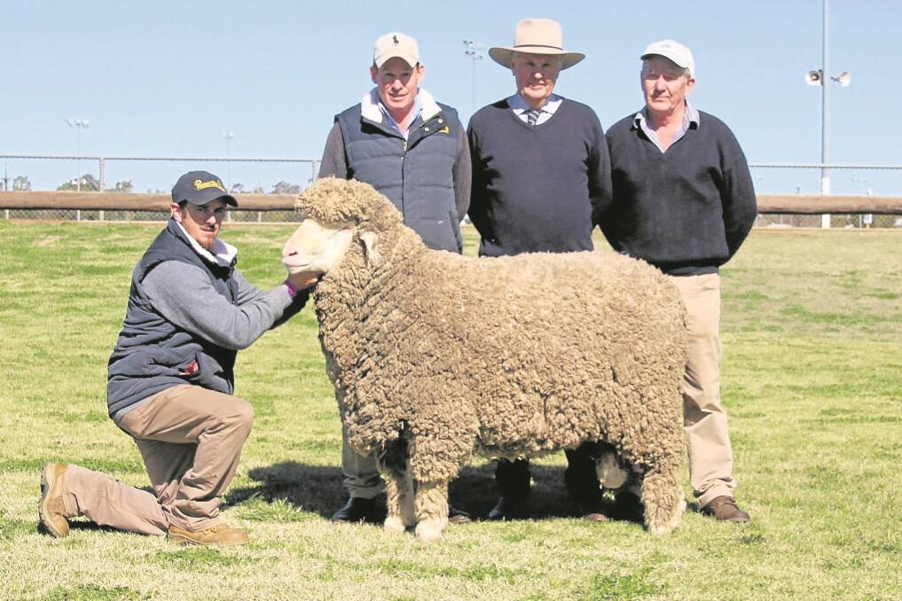 A syndicate of five Merino studs in New Zealand, Victoria and NSW combined to pay the $31,000 top price for this Roseville Park Poll Merino ram. Pictured is NSW buyer, Jim Darmody, Wantana Hills stud, Boorowa, with consultant, Chris Bowman, Hay, who purchased the ram, Roseville Park co-principal Matthew Coddington and Grant Judd.