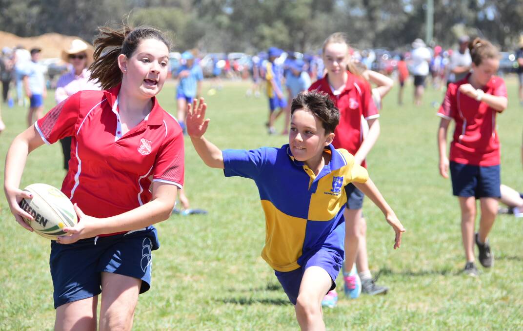 While the 2020 Touch and Netball Carnival may have been cancelled, organisers are looking forward to 2021.