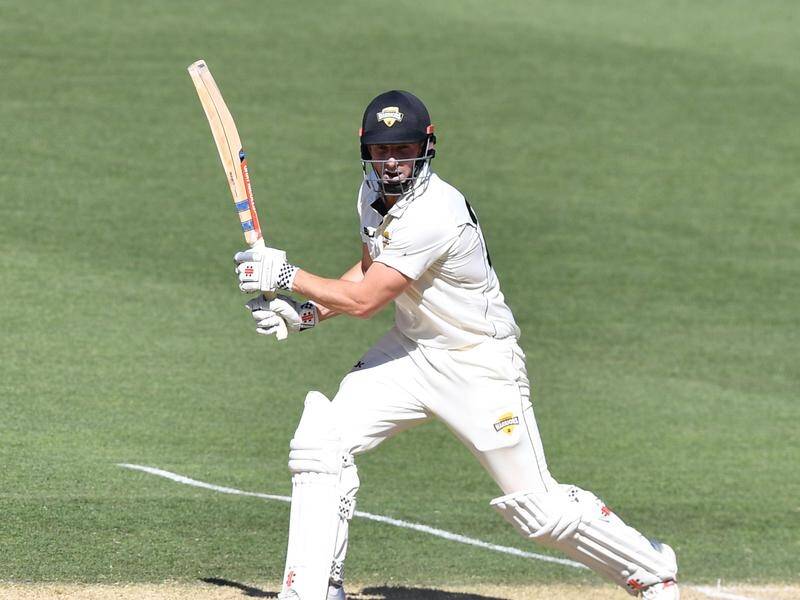 Shaun Marsh (pic) and brother Mitch have found form with the bat in WA's Shield match against SA.