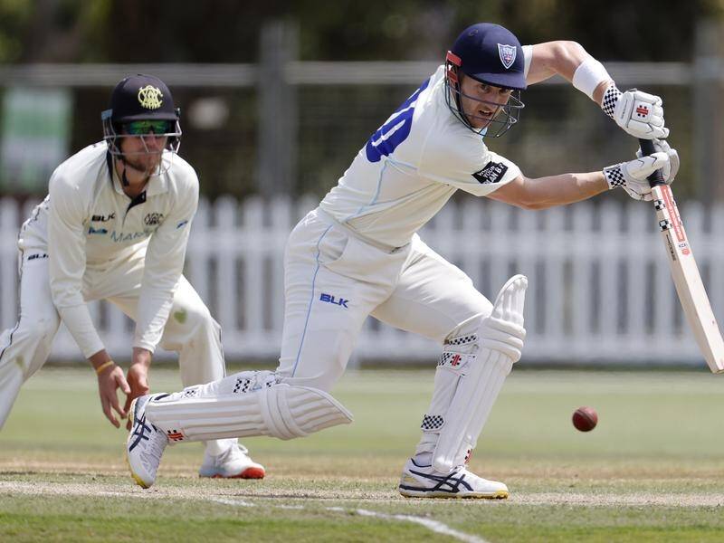NSW captain Peter Nevill helped the Blues to a big Sheffield Shield total against Western Australia.