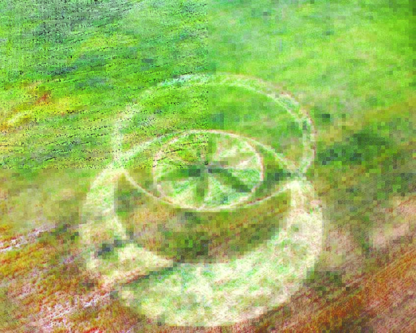 This ‘crop circle’ on a farm along the Yass Road, around 30km south of Boorowa, became the hot topic of conversation last week. Images: Rosco Williams.